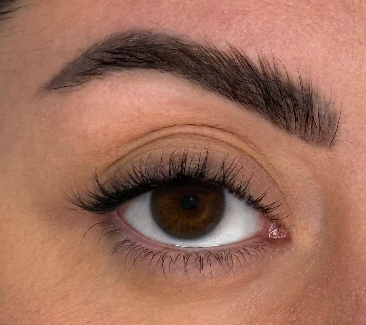 Lashes Pack | Press & Go Aphrodite + Pinzetta + Piegaciglia