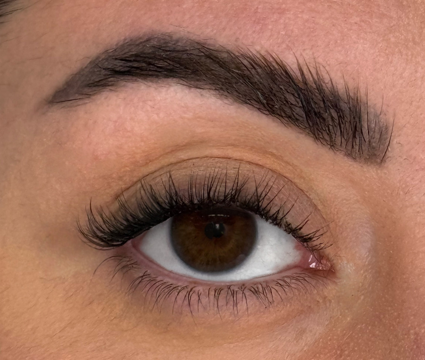 Lashes Pack | Press & Go Athena + Pinzetta + Piegaciglia